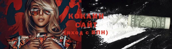 гидра Гусиноозёрск