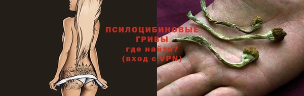 jwh Дмитровск