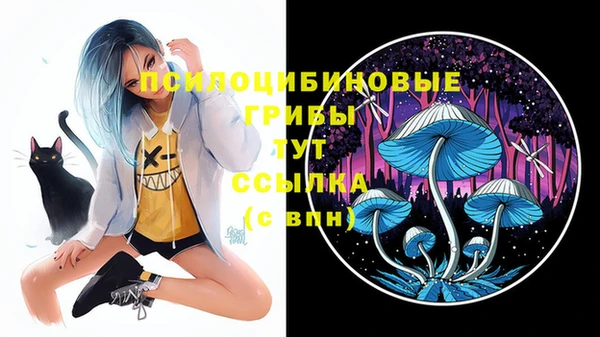 винт Гусев