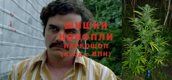 гидра Гусиноозёрск