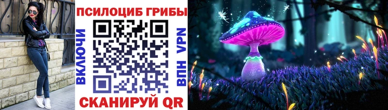 Псилоцибиновые грибы мицелий  Купить где  Малая Вишера 