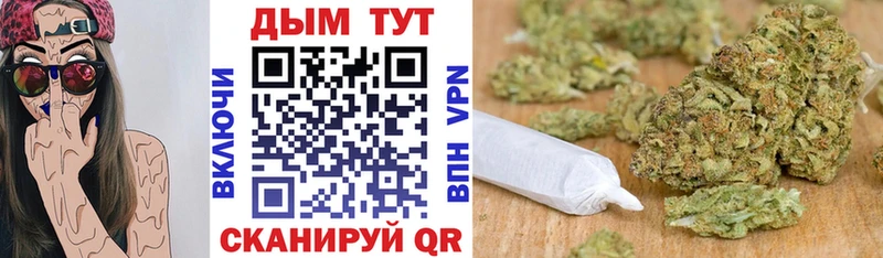 Купить где  Малая Вишера  Бошки марихуана планчик 